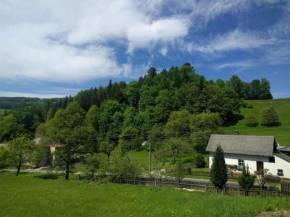 Chaloupka na konci světa, Bohdíkov